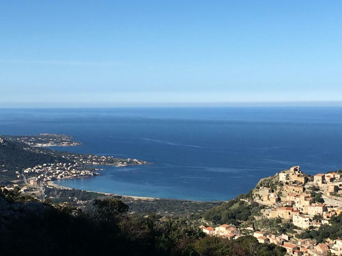 Hotel De La Plage Santa Vittoria Algajola  Eksteriør bilde